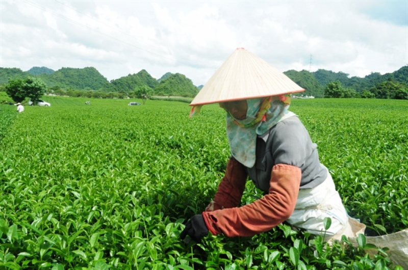 Photo grabbed from VietNamNet Bridge.