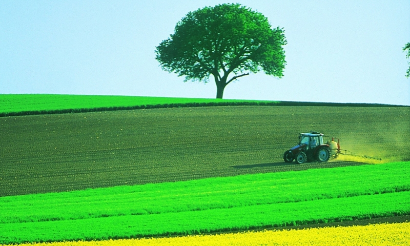 ‘Most farmers around the world will turn to one of just six companies that dominate the market to buy all their agrochemicals and seeds.’ Photograph: Reso/Rex Features