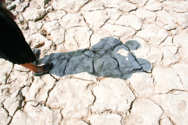 A farmer stands with his child on his rice field destroyed by drought in Oddor Meanchey province. KT/ Chor Sokunthea