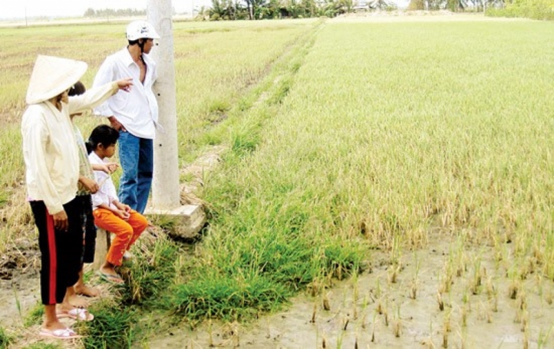 Climate change has a huge impact on HCM City’s water resources, the head of its public water utility has warned. — Photo sggp.org.vn