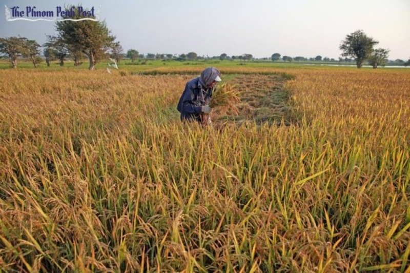 Photo from The Phnom Penh Post